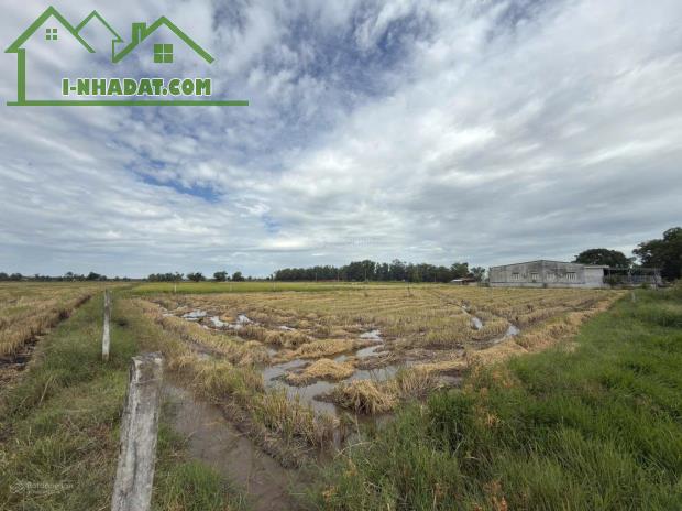 ĐẤT ĐẸP - GIÁ TỐT - Bán Nhanh Tại ấp Phước Đông xã Long Chữ tỉnh Tây Ninh (trước là xã - 3