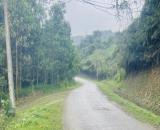 🔥 SIÊU PHẨM QUỸ ĐẤT 4HA – GIÁ MỀM HIẾM CÓ TẠI KỲ SƠN, TP HOÀ BÌNH 🔥  ✅ Diện tích: 40.000