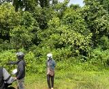 ► BÁN 1.8HA ĐẤT NÔNG NGHIỆP – CÓ SẴN DÒNG TIỀN 500TR/NĂM