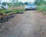 Bán đất thổ + lúa ấp 1 xã Tân Thành, Thủ Thừa tdt 1907m2 ( có 300m2 thổ ) giá 1,99 tỷ