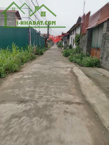 Bán 131m2 đất 50 năm Phượng Cách, Quốc Oai chỉ 4.7 triệu/m2 - 2