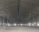 LA1. Cho Thuê Xưởng Kv: 8.000m2, Xưởng: 5.000m2, CẦN GIUỘC . Long An