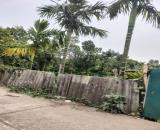 Bán gấp giá rẻ nhà, đất Chương Dương 767m, cấp 4, mặt tiền 14m, 2 tỷ Thường Tín.