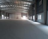 CHO THUÊ NHÀ XƯỞNG 3.200m² – KCN QUẾ VÕ, BẮC NINH | PCCC TỰ ĐỘNG