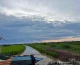 Chính chủ cần bán 2,6 mẫu đất ruộng nuôi quảng canh xen lúa