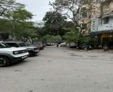 Bán Nhà VIEW Hồ Đội Cấn Ba Đình 254m2-4T MT11m VIEW Hồ 2 THOÁNG 125 Tỷ Đội Cấn.