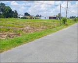 KẸT TỀN SANG GẤP 1050M2 ĐẤT THÔ CƯ SÁT KCN, CHỢ DÂN CƯ ĐÔNG TIỆN XÂY TRỌ, KD GIÁ 170TR