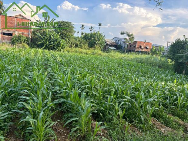 Bán nhanh lô đất 300mv ngay chợ Hà Mật, Điện Phong, Điện Bàn