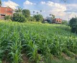 Bán nhanh lô đất 300mv ngay chợ Hà Mật, Điện Phong, Điện Bàn
