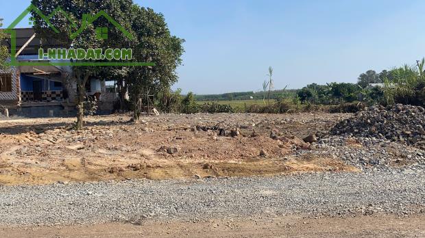 Đất mặt tiền chủ ngộp bank giá nào cũng bán - 4