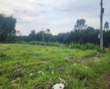 BÁN ĐẤT SKC XÂY DỰNG KHO XƯỞNG TẠI XÃ LONG NGUYÊN, BÀU BÀNG, TỈNH BÌNH DƯƠNG CŨ