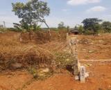 BÁN NỀN ĐẤT Ở + TRỒNG CÂY LÂU NĂM ĐÃ SỔ ĐỎ RIÊNG TẠI XÃ EA KUEH, HUYỆN CƯ M