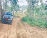 Bán 4 sào phú hội pre, đức trọng, lâm đồng, nhà c4, điện nước đầy đủ