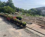 Bán đất mặt tiền 5x20m giá 4,5 tỷ Đường Đông Thạnh 7-1