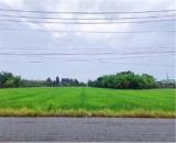 ĐẤT CHÍNH CHỦ - 2 LÔ MẶT TIỀN Đường DT827B Xã Phước Tân Hưng, Châu Thành, Long An