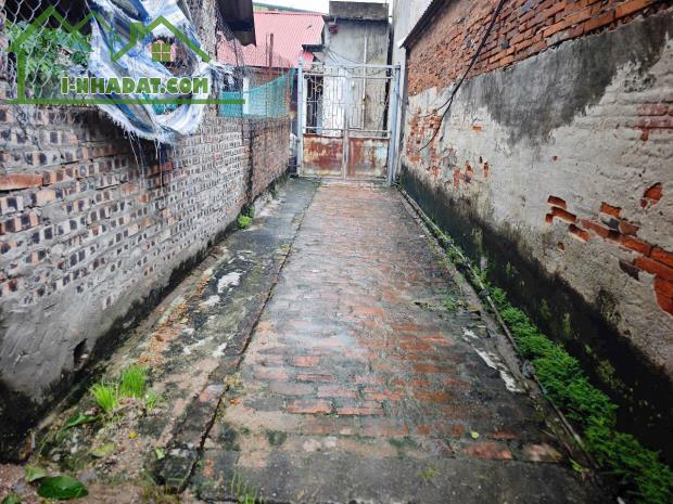 BÁN ĐẤT THIÊN ĐÔNG, PHƯỢNG MỸ, MỸ HƯNG, TAM HƯNG, THANH OAI 50M2 GIÁ CHỈ 3,6 TỶ - 1