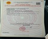 HÀNG NGỘP RẺ NHẤT THỊ TRƯỜNG PHƯỚC HẢI BRVT CHỈ VỚI 800 CÒN TL