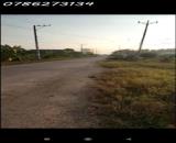 BÁN ĐẤT MẶT TIỀN 30M – TỔNG 6.975m² – CÓ 975m² THỔ CƯ – ẤP 2, XÃ TÂN ĐÔNG, HUYỆN Thạnh Hóa