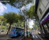 BÁN SIÊU PHẨM MẶT TIỀN KINH DOANH ĐƯỜNG PASTEUR, TÂN ĐỊNH, QUẬN 1 - VỊ TRÍ SIÊU ĐẸP NGAY