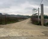 SỞ HỮU MẢNH ĐẤT ĐỒI THƠ MỘNG TẠI ĐỒNG BÈN – QUỐC OAI