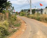 Bán Đất 266m2 có 60m Thổ Cư Đất Đỏ Bazan 40 Góc Café đang Thu Giá 289 Triệu