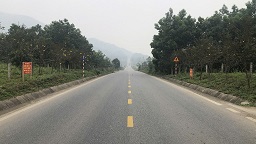 CHO THUÊ 3 LÔ ĐẤT MẶT ĐƯỜNG LIÊN VÙNG – PHÚ THỌ VỊ TRÍ ĐẸP GẦN KCN