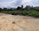 BÁN ĐẤT SỔ RIÊNG XÂY DỰNG ĐƯỜNG Ô TÔ GIÁ CHỈ 2,4 TỶ