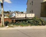 Đất Biệt Thự Nở Hậu Mặt Tiền Phạm Hồng Thái, Phường 10 TP. Đà Lạt – 300m² Full Thổ Cư