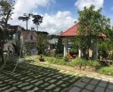 CHO THUÊ SÂN VƯỜN MỞ QUÁN KINH DOANH – NGUYỄN AN NINH, PHƯỜNG 6, ĐÀ LẠT, TỈNH LÂM ĐỒNG