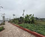 BÁN ĐẤT RUỘNG ĐẸP 462M2 – ĐẤT LÀNH CHIM ĐẬU TẠI YÊN MỸ, XÃ THANH TRÌ - CHƯA ĐẾN 2 TỶ