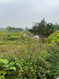 ► ĐẤT ĐẸP TÂN AN – CƯƠNG SƠN – LỤC NAM GIÁ CHỈ 480 TRIỆU - 1