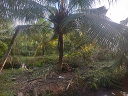 CHÍNH CHỦ CẦN BÁN LÔ ĐẤT CÓ VỊ TRÍ ĐẸP TẠI PHƯỜNG KHÁNH HẬU - TP. TÂN AN - LONG AN. - 2