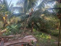 CHÍNH CHỦ CẦN BÁN LÔ ĐẤT CÓ VỊ TRÍ ĐẸP TẠI PHƯỜNG KHÁNH HẬU - TP. TÂN AN - LONG AN. - 3