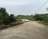 ► ĐẤT ĐẸP TÂN AN – CƯƠNG SƠN – LỤC NAM GIÁ CHỈ 480 TRIỆU