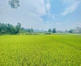 🌄 SIÊU PHẨM ĐẤT NHÀ VƯỜN – VIEW ĐỒNG NÚI CỰC ĐẸP – CHỈ 38KM TỪ Hà Nội 🌄  Bạn đang tìm mộ