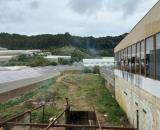 Đất Biệt Thự View Rừng Thông Đà Lạt - MT Đường Triệu Việt Vương - DT: 1213m2 - Giá 42 Tỷ