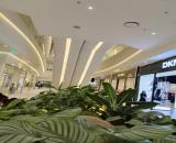 Cực hót, cực chất, cực đẹp Phùng Hưng 6 tầng thang máy, dòng tiền 3.6 tỷ/năm