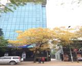 Tòà nhà văn phòng 28 Xuân La cho thuê tầng 5 làm văn phòng.