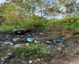 CHÍNH CHỦ CẦN BÁN LÔ ĐẤT CÓ VỊ TRÍ ĐẸP TẠI  KHU CÔNG TY RƯỢU - KHÓM 5  - PHƯỜNG 2 - BẠC