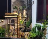 BÁN NHÀ MẶT PHỐ TRUNG TÂM – ĐANG KINH DOANH CAFE ỔN ĐỊNH