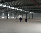 Cho thuê kho xưởng 1.000m2, tại cụm công nghiệp  huyện Thanh Oai, Hà Nội.