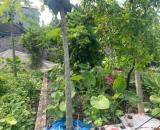 CHÍNH CHỦ CẦN BÁN 42 M2 GIAO TẤT A - THUẬN AN, GIÁ NHỈNH 2 TỶ, LIÊN HỆ 0985865658
