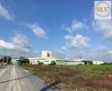 BÁN NHÀ MÁY SẢN XUẤT THỨC ĂN GIA SÚC, GIA CẦM, THỦY SẢN - TN – 11,65HA