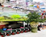 Chính chủ bán nhà phố Giang Văn Minh, Ba Đình, Hà Nội 34/38m² 4 tầng 3 ngủ, 2 thoáng