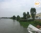 BÁN ĐẤT XÂY DỰNG NHÀ XƯỞNG – GÒ DẦU, TÂY NINH – 36.176m²