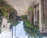 Lô đất sau lưng bệnh viện Phạm Ngọc Thạch