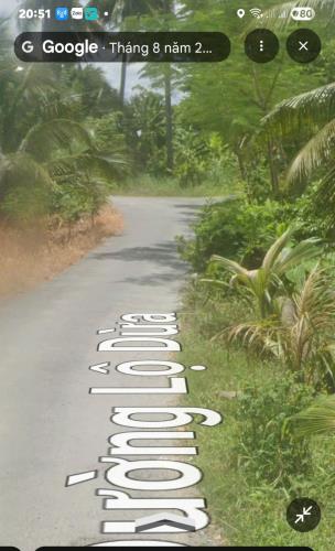 Sát Ranh Long An và Tiền Giang Cũ. Cần Bán Gấp 2.000 m2 ĐẤT MẶT TIỀN Đường Lộ Dừa-Cầu Đình - 3