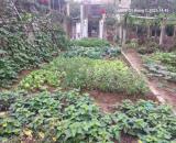 Cần sang tên mảnh đất 92m2, 4.6m, 5.85 tỷ, nở hậu, ô tô, thông, Việt Hùng, Đông Anh.