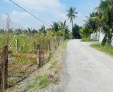 Sát Ranh Long An và Tiền Giang Cũ. Cần Bán Gấp 2.000 m2 ĐẤT MẶT TIỀN Đường Lộ Dừa-Cầu Đình