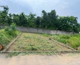 CƠ HỘI ĐẦU TƯ SINH LỜI – ĐẤT BÌNH YÊN, THẠCH THẤT